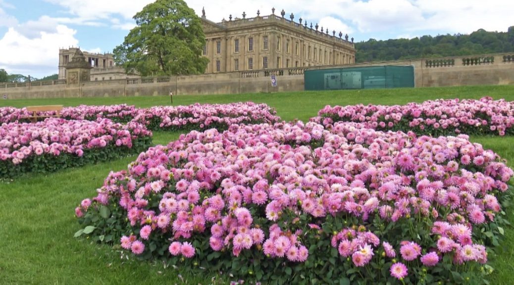 Pink flowers in front of the house at Chatsworth
