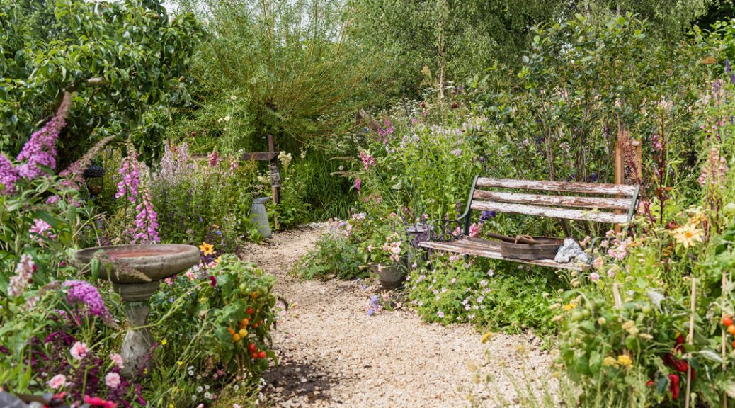 Bench and Cotswold chippings in the Springwatch garden. Also features green wild planting..