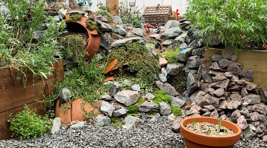 Rockery style garden with lots of terracotta pots and black chippings