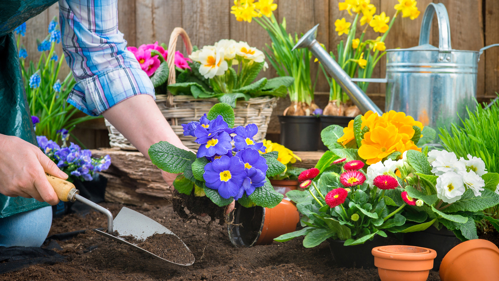 Benefits of Gardening for Mental Health
