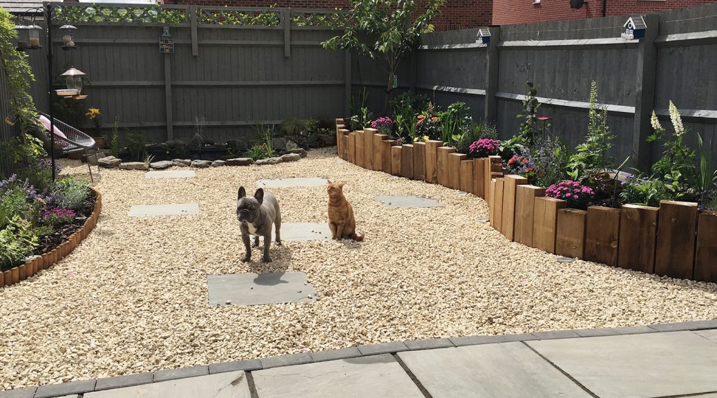 Garden featuring Cotswold Gravel with a dog and cat sitting in it. Wooden borders filled with pink flowers surround.