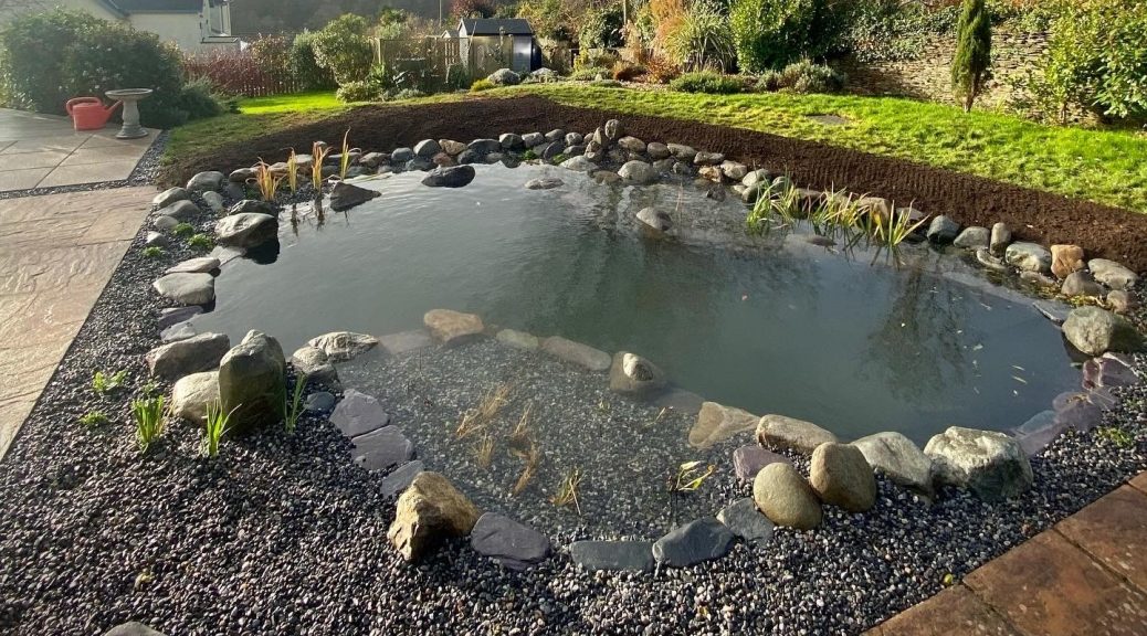Wildlife pond designed and built by Lost Habitat landscapers